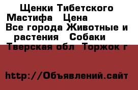 Щенки Тибетского Мастифа › Цена ­ 90 000 - Все города Животные и растения » Собаки   . Тверская обл.,Торжок г.